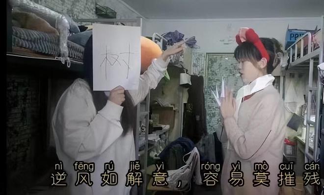 红楼梦》网友：这比胡玫导演得还高级凯发K8国际女大学生“胡导胡演”《(图23)